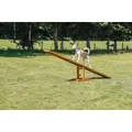 AGILITY Schaukel/Brücke 300x54x34cm max. bis 80kg TRIXIE