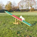 Weiteres Produktbild AGILITY Schaukel/Brücke 300x54x34cm max. bis 80kg TRIXIE