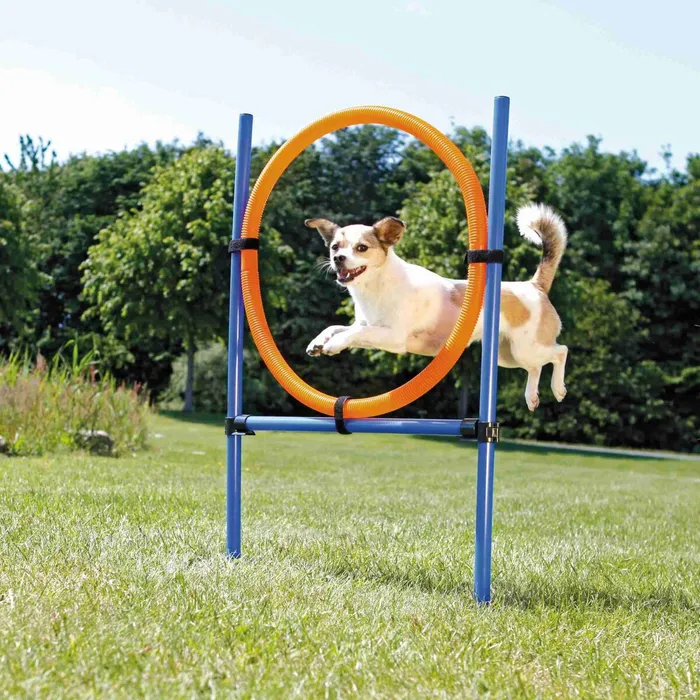 Hauptproduktbild AGILITY kruh proskakovací