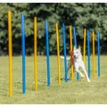 AGILITY Slalom, Stöcke 12 Stk