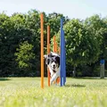 AGILITY Slalom, Stöcke 12 Stk