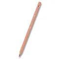 Albrecht Dürer Buntstift 189 (8200-189) Faber-Castell (117689)