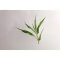 Weiteres Produktbild Akvarelový blok Clairefontaine Bamboo A4, 20 listů, 250 g