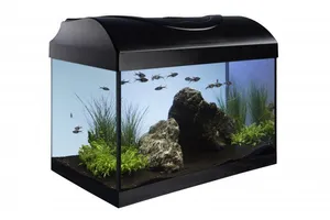 Aquariumset 40 - schwarz gerade 40x25x25 cm