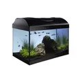 Aquariumset 40 - schwarz gerade 40x25x25 cm