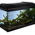 Weiteres Produktbild Aquariumset 60 - schwarz 60x30x30 cm