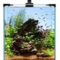 Weiteres Produktbild Aquarium-Set Nano LED 30 30x30x35cm