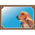 Farbschild Achtung Hund, Afghanischer Windhund