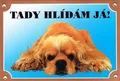 Farbschild Achtung Hund, liegender amerikanischer Hahn