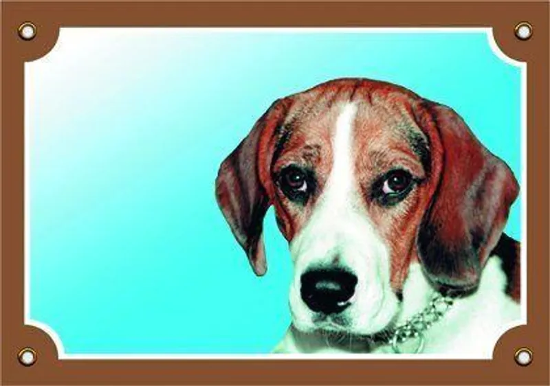 Hauptproduktbild Barevná cedulka Pozor pes, Beagle