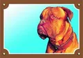 Farbschild Achtung Hund, Bordeauxdogge