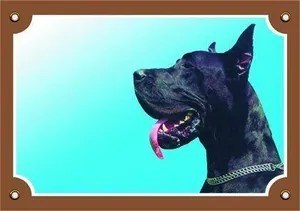 Farbschild Achtung Hund, Doga schwarz
