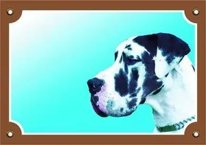 Farbschild Achtung Hund, Doga Harlekin