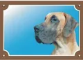 Farbschild Achtung Hund, Deutsche Dogge