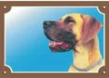 Farbschild Achtung Hund, Doga gelb