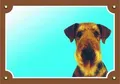 Farbschild Achtung Hund, Erdelterier