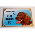 Farbschild Achtung Hund, Irish Setter