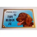 Weiteres Produktbild Farbschild Achtung Hund, Irish Setter