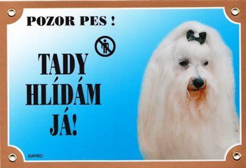 Hauptproduktbild Barevná cedulka Pozor pes, Maltézský pinč