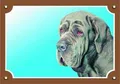 Farbschild Achtung Hund, neapolitanische Dogge