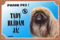Farbschild Vorsicht Hund, Pekinese