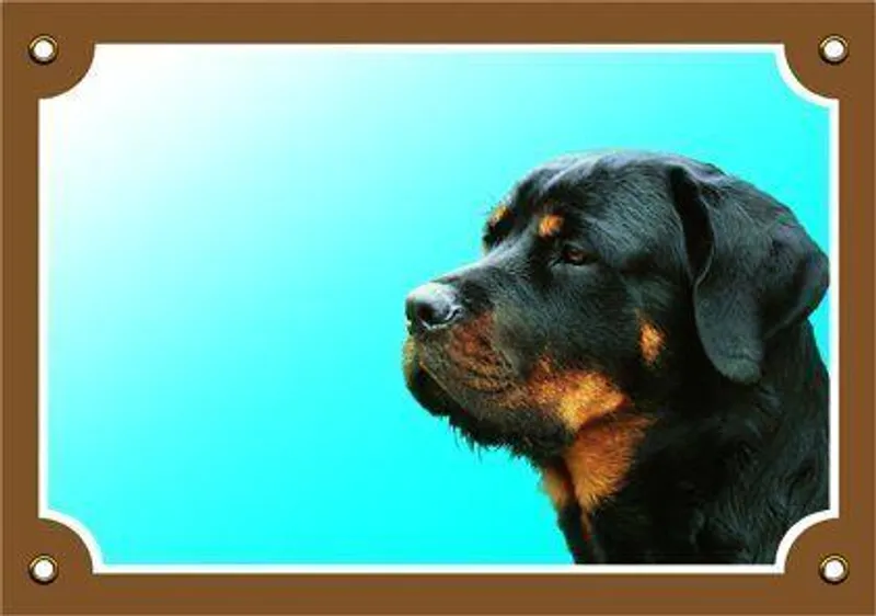 Hauptproduktbild Barevná cedulka Pozor pes, Rottweiler