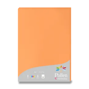 Clairefontaine farbige Briefkarte orange, A4 [25 ks]