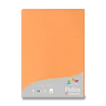 Clairefontaine farbige Briefkarte orange, A4 [25 ks]