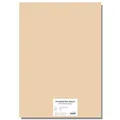 Barevný karton EXTRA 300g 50x70cm meruňková [10 listů]
