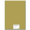 Barevný karton EXTRA 300g 50x70cm zlatý [10 listů]