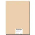 Buntkarton EXTRA 300g A4 Aprikose [10 Blatt]