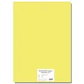 Buntkarton EXTRA 300g A4 hellgelb [10 Blatt]
