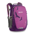 Boll Falcon 20 Boysenberry Rucksack