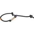 BE NORDIC Leine für Retriever, schwarz/sand L-XL: 1,70 m/ 13 mm