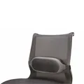 Lordosenstütze I-Spire, verstellbarer Riemen, grau, Plast, Fellowes