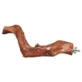 Barsch-Naturkriechpflanze 25 cm/12-25 mm