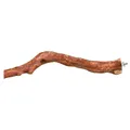 Barsch-Naturkriechpflanze 45 cm/25-50 mm