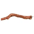 Barsch-Naturkriechpflanze 45 cm/25-50 mm