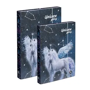 Box A4+A5 Pegasus