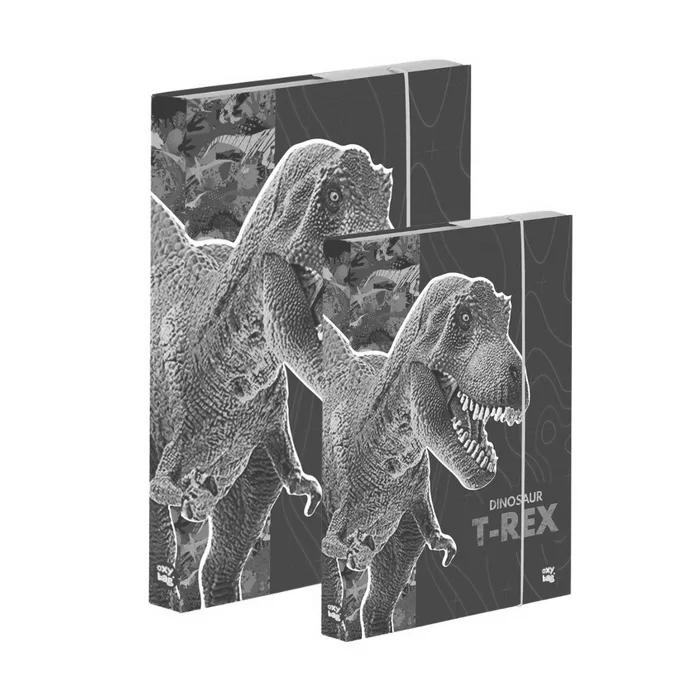 Hauptproduktbild Box A4+A5 Premium Dinosaurus