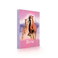 Box na sešity A4 Horse