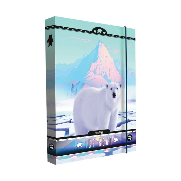 Hauptproduktbild Box na sešity A4 Jumbo Bear