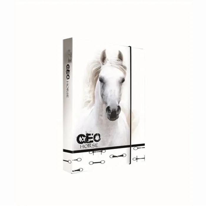 Hauptproduktbild Box na sešity A4 Jumbo GEO WILD Horse