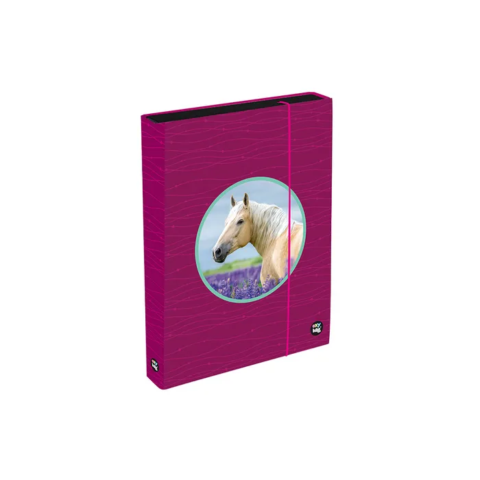 Hauptproduktbild Box na sešity A4 Jumbo OXY Sherpy Pink