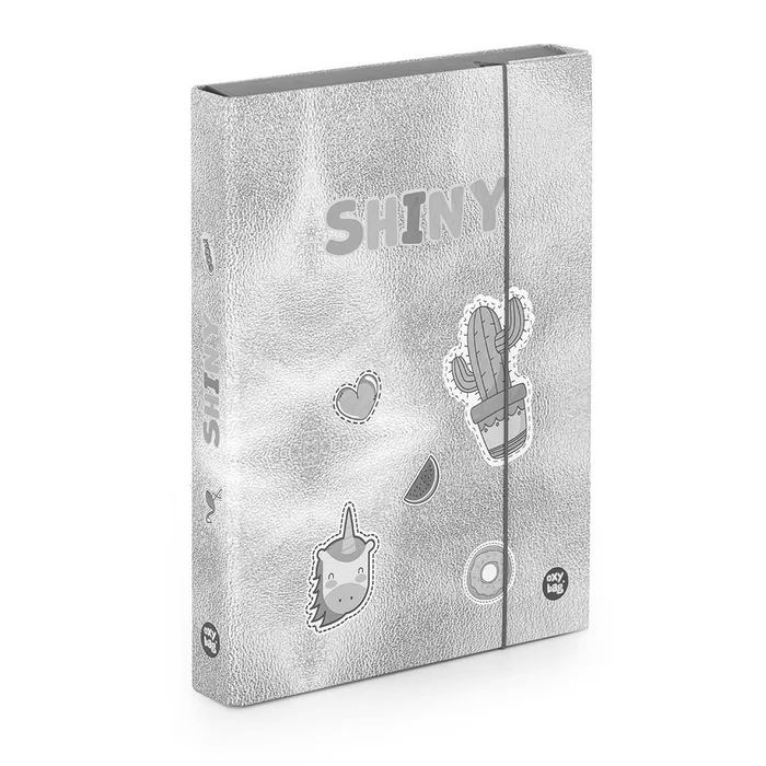 Hauptproduktbild Box na sešity A4 Jumbo OXY Style Mini Shiny