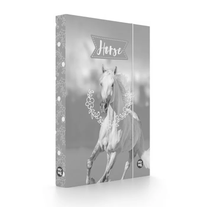 Hauptproduktbild Box na sešity A4 kůň