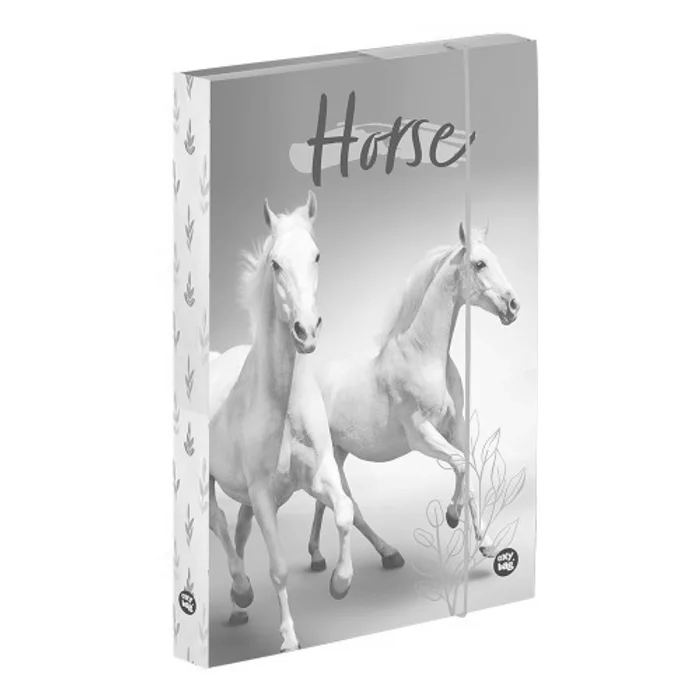Hauptproduktbild Box na sešity A4 Kůň