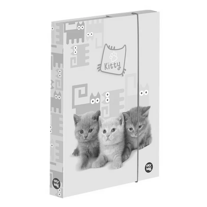 Hauptproduktbild Box na sešity A4 Mazlíčci