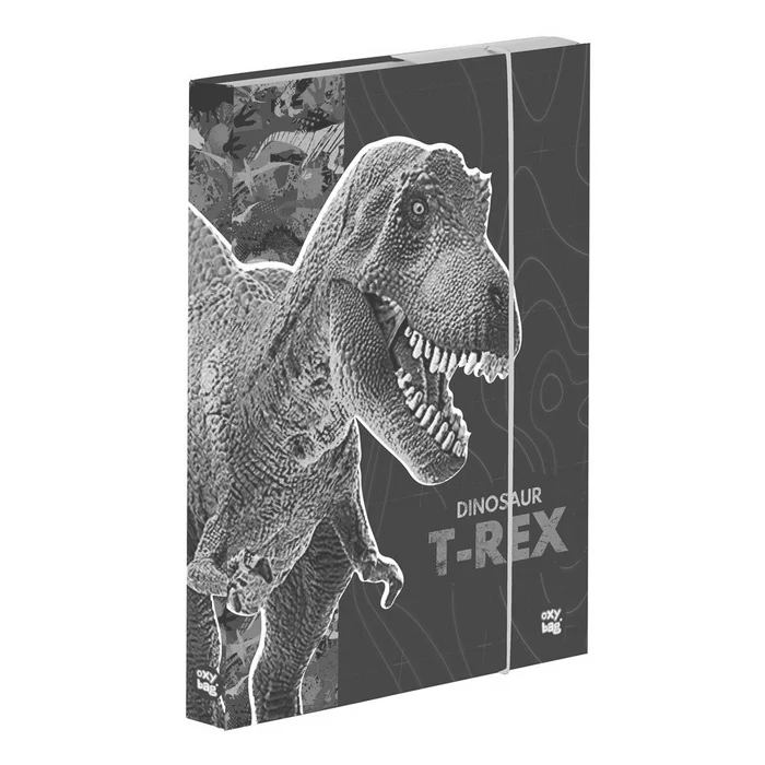 Hauptproduktbild Box na sešity A4 Premium Dinosaurus