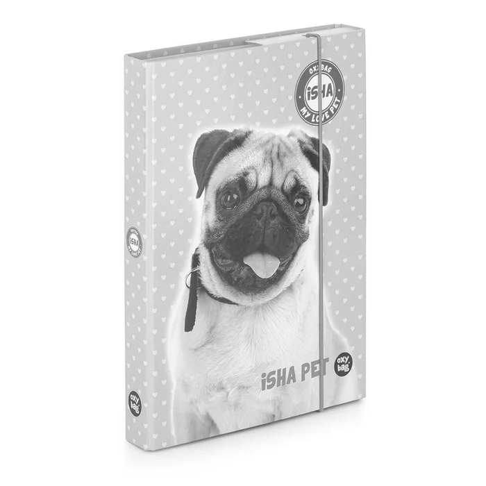 Hauptproduktbild Box na sešity A5 ISHA - My love Pet